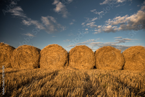 Canvas Print Haystacks on the field