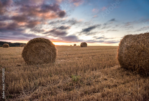 Obraz na plátně Haystacks on the field. Autumn Harvest, Agriculture landscape