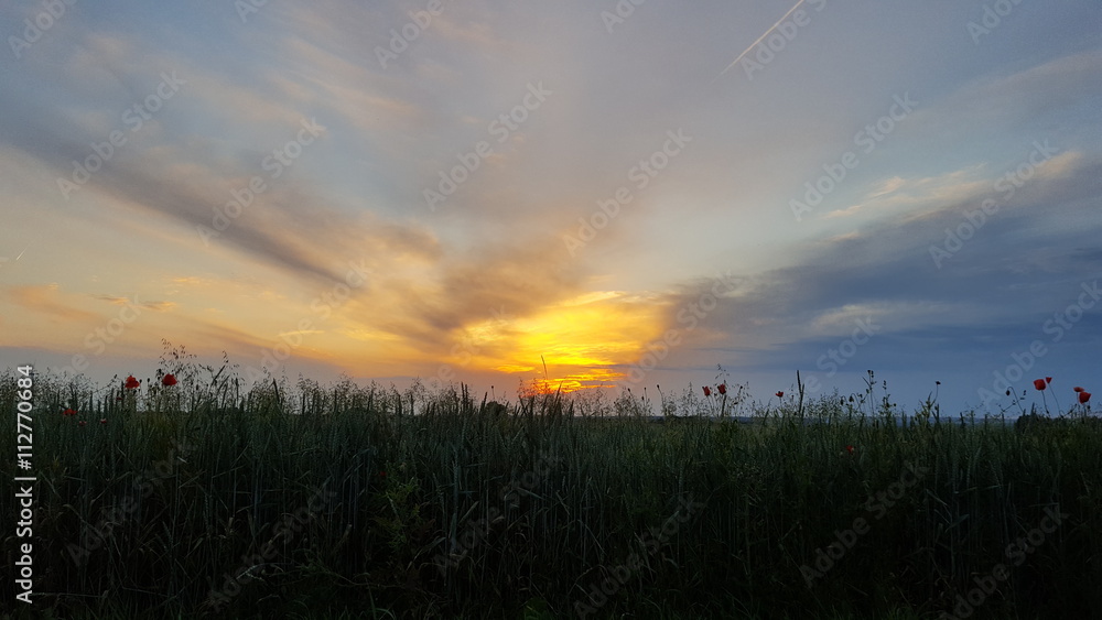 Sonnenuntergang am Feldweg