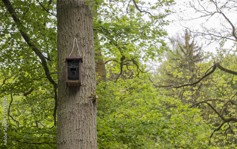 Birdhouse on a tree. Birdhouse on a tree.