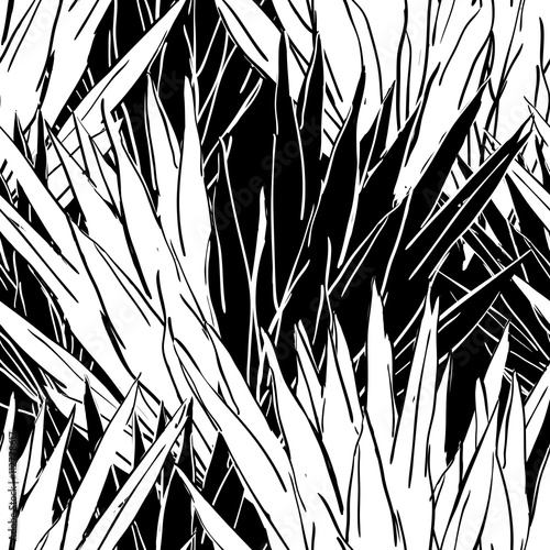 Vector seamless pattern with monochrome leaves. Hand drawn nature organic bac...