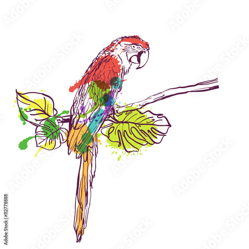 Vector hand drawn watercolor illustration of tropical ara parrot. Colorful parrot bird sitting on branch with green leaves. Isolated design element for fashion print, label, package, background.