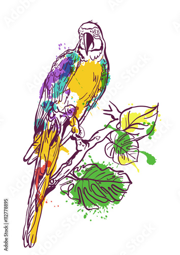Vector watercolor illustration of tropical ara parrot sitting on green tree. Isolated colorful parrot bird. Design element for print, label, package, background.