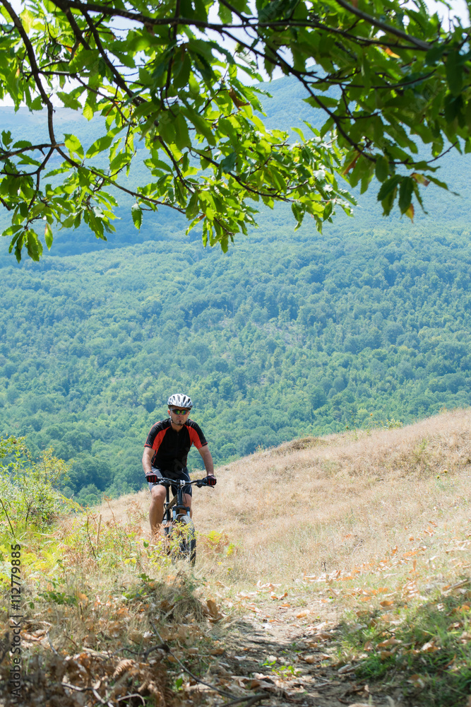 Mountain biker riding cross country