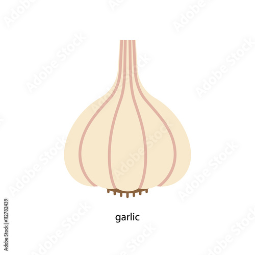 The head of garlic consisting of many cloves
