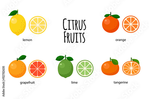 A good set of citrus fruits and their transverse sections