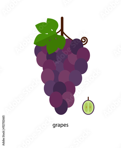Obraz na plátně Nice bunch of grapes with green leaf and  cross - section of a berry
