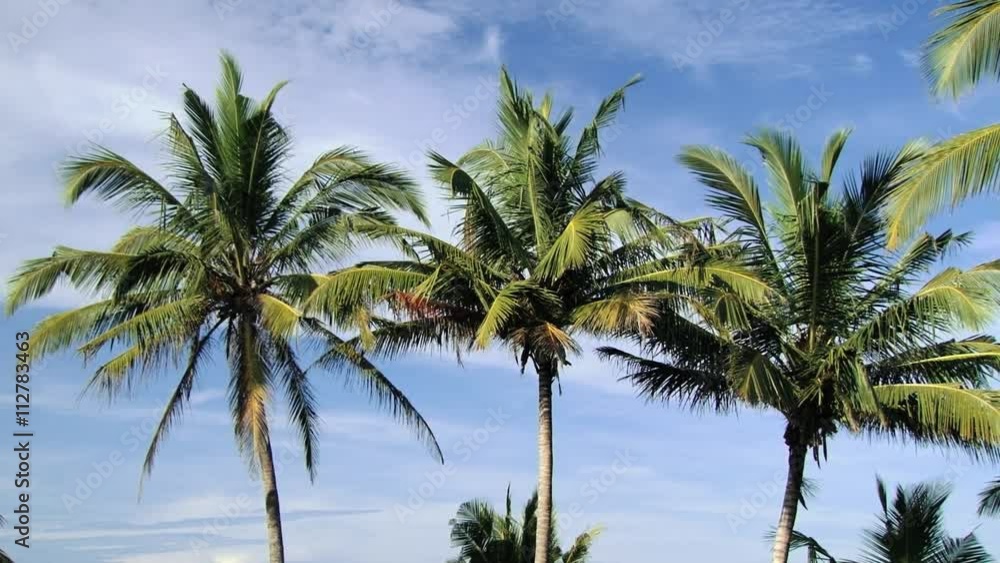 View to the seaside with palms and pavilion in Galle, Sri Lanka. View to the seaside with palms and pavilion in Galle, Sri Lanka.