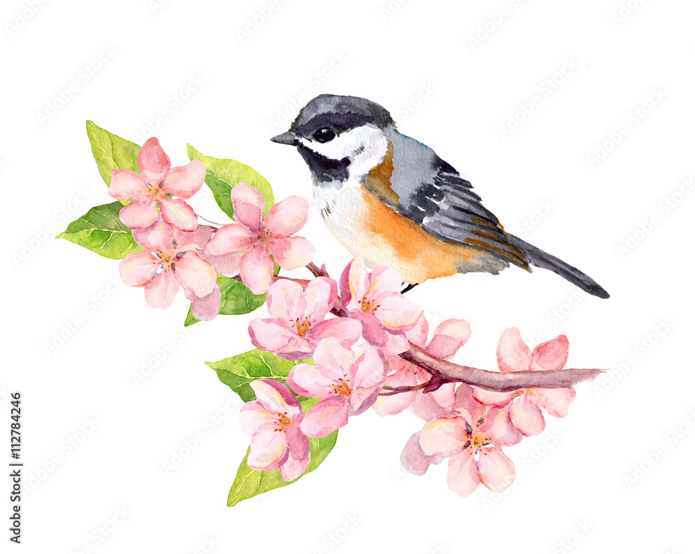 Obraz Ptak na gałęzi kwiat z kwiatami. Akwarela