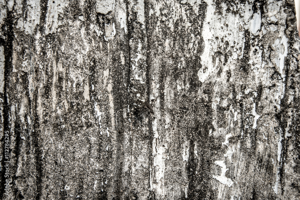 Obraz premium wood texture