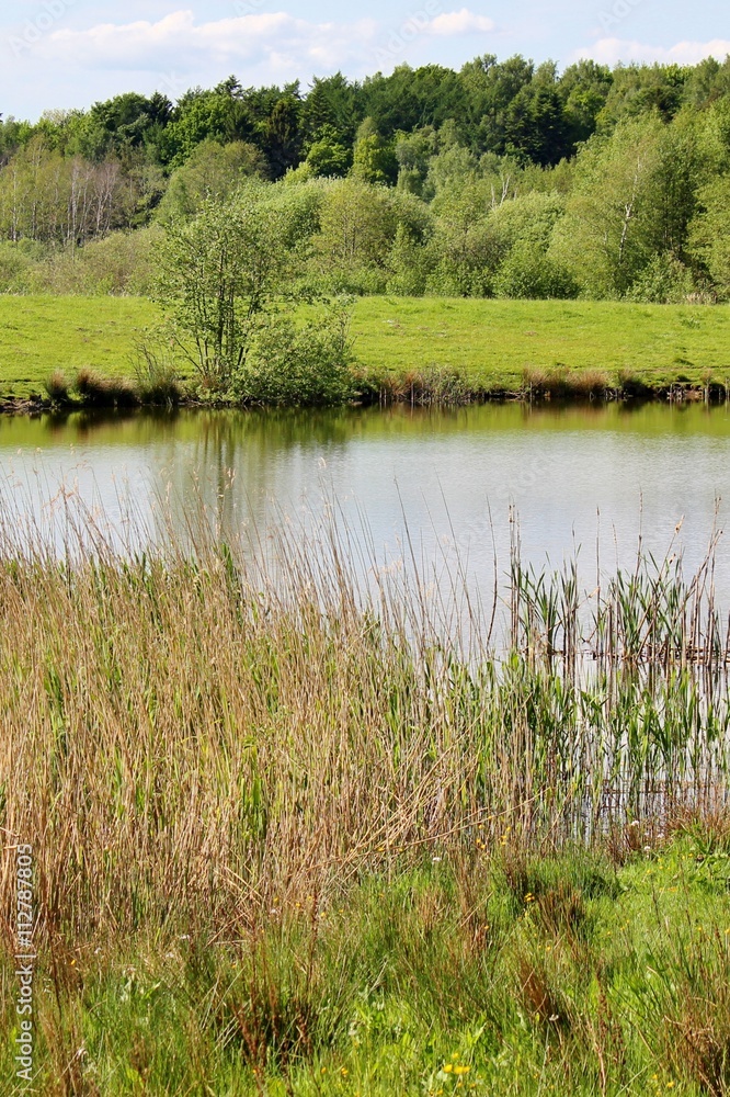 Beautiful spring view of lake surrounded by wetland Beautiful spring view of lake surrounded by wetland