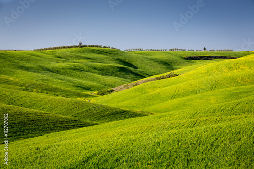 Green countryside during spring season, Tuscany, Italy