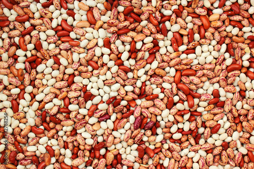 Photos Red white and kidney beans