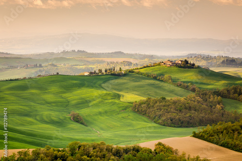 Green farmland in spring season  Tuscany  Italy