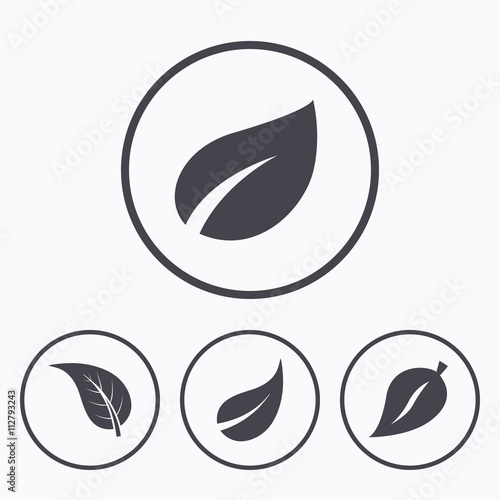 Leaf icon. Fresh natural product symbols.