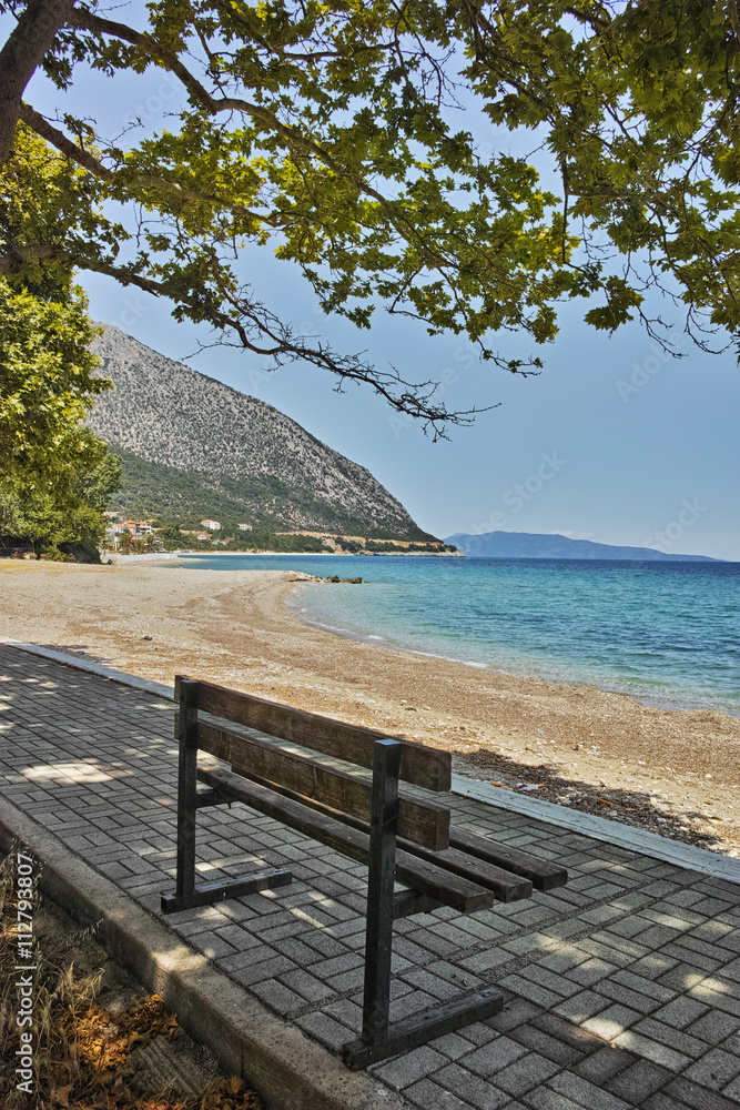 Trees on the beach of Poros, Kefalonia, Ionian Islands, Greece