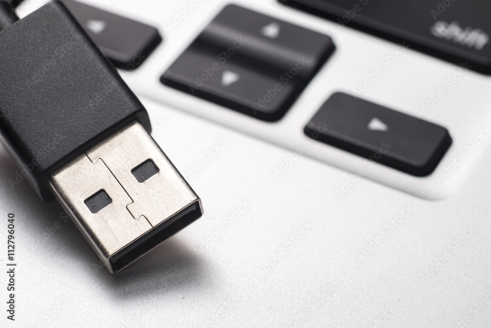 Fototapeta premium Details of usb cable on laptop.