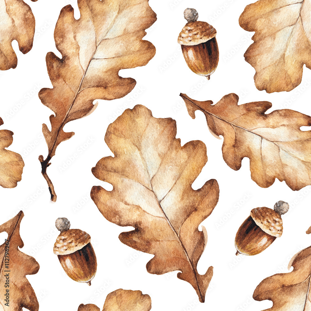 Falling oak leaves and acorns