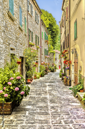 Fototapeta Naklejka Na Ścianę i Meble -  Beautiful small street provincial Italy