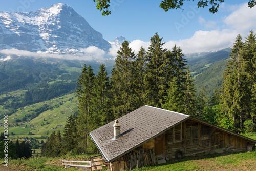 View of the valley of Grindelwald, Switzerland
