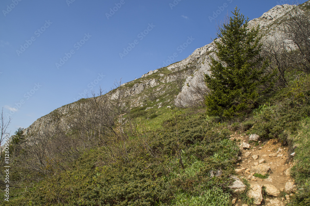 La Pinéa - Massif de la Chartreuse - Isère.