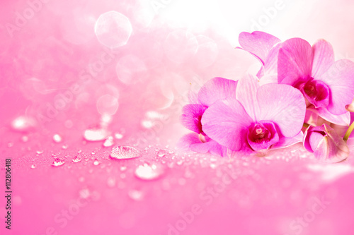  orchid flower with rain water drops on pink romance background