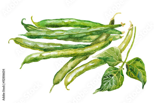 зеленая фасоль