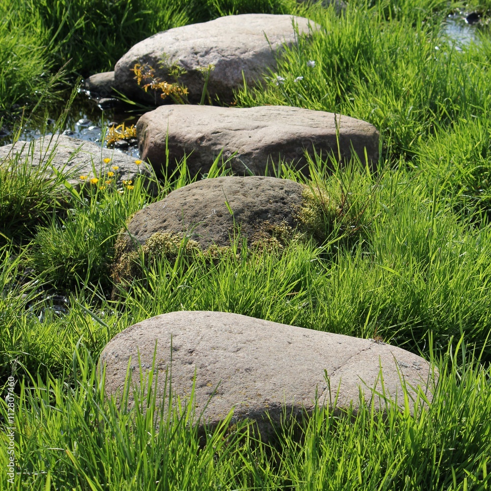 Stepping stones leading the way across wetland Stepping stones leading the way across wetland