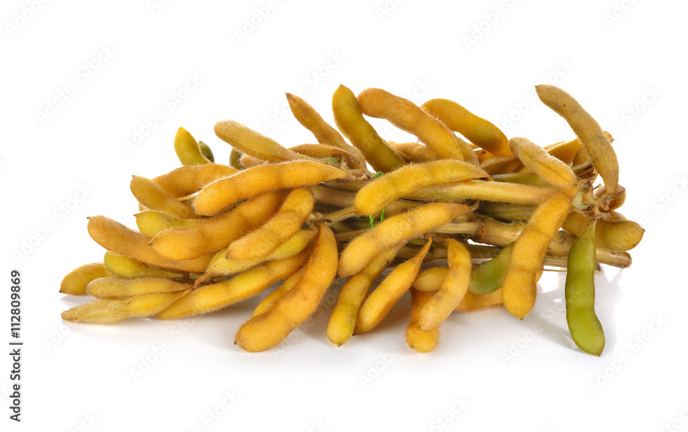 bunch of boiled soybean with shell and stem on white background bunch of boiled soybean with shell and stem on white background