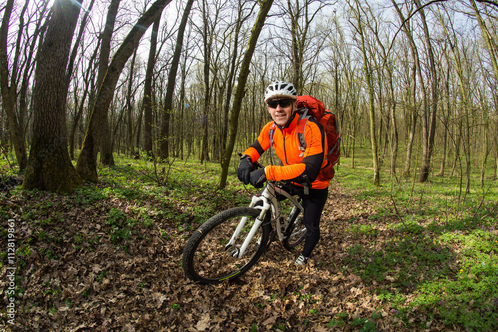 Naklejka premium Cyclist Riding the Bike in Beautiful Spring Forest