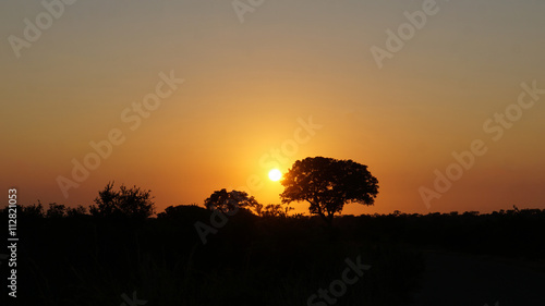 Sonnenaufgang in S  dafrika Sonnenaufgang im Kr  ger Nationalpark in S  dafrika  im Vordergrund einzelne B  ume und B  sche.