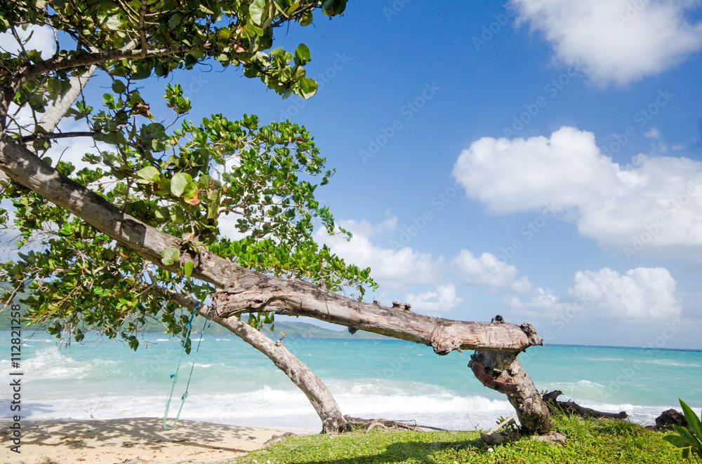Traumurlaub in der Karibik: Auszeit, Entspannung, Wellness :) Traumurlaub in der Karibik: Auszeit, Entspannung, Wellness :)