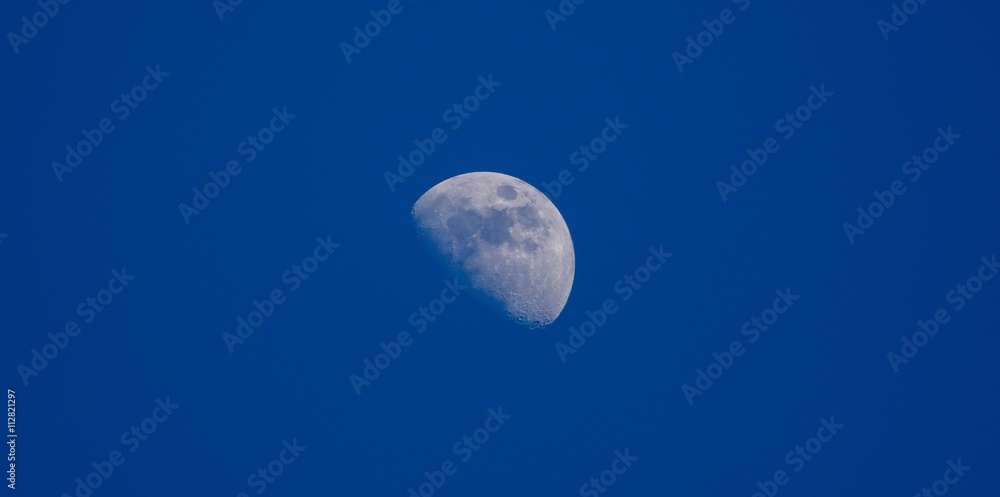 Moon closeup on dark  blue sky