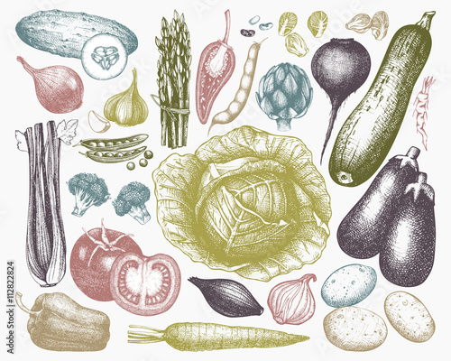 Vector Vegetables Collection. Hand drawn vegetables sketch. Healthy Food illustration.  Farm fresh products. Oraganic food set. Vintage vegetablesin pastel colors