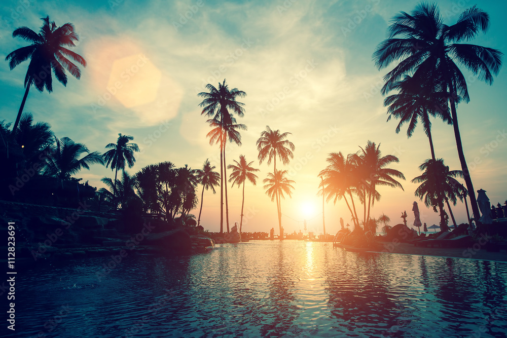 Obraz premium Miękki zmierzch na drzewko palmowe morza tropikalnej plaży.