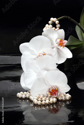 Fototapeta Naklejka Na Ścianę i Meble -  White orchid and pearl beads