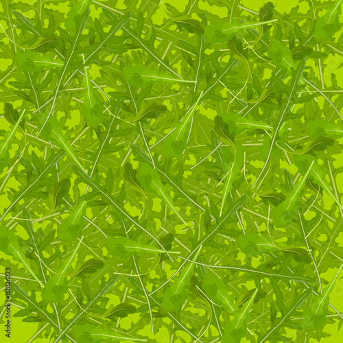 Texture with arugula design. Arugula, salad rocket leaf pattern. Vector Illustration