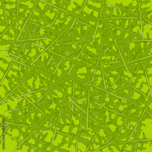Texture with arugula design. Arugula, salad rocket leaf pattern. Vector Illustration