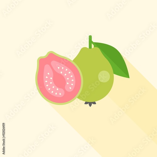 Guava with cross section illustration, Guava icon with long shadow, Whole guava and Half guava fruit flat design vector