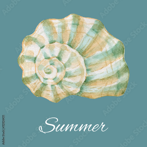 Watercolor sea shell.