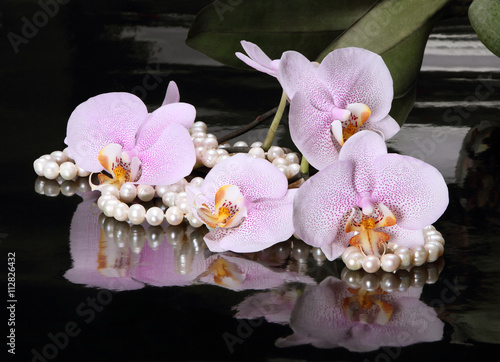 Motley orchid and pearl beads 3
