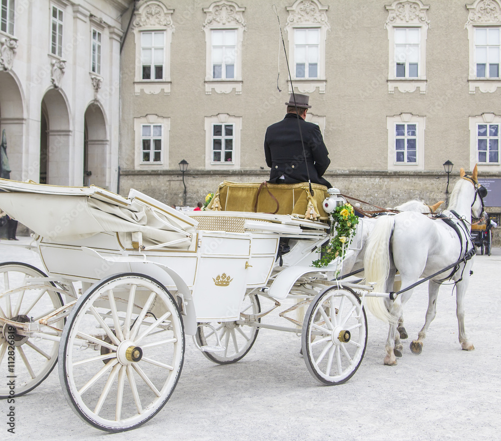 background cityscape driver with elegant open carriage drawn by a white horse in the center of Salzburg, Austria