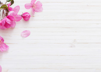 apple flowers on wooden background