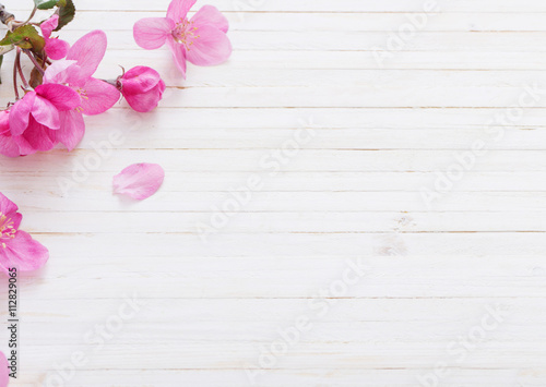 apple flowers on wooden background