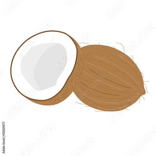 Coconut tropical nut fruit with cut. Vector illustration isolated white background. Coconut, coconut oil, fresh coconut, coconut water, coconut milk, coco broken, coconut shell, coconut isolated, coco