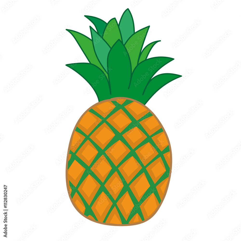 Fototapeta premium Pineapple. Vector illustration.