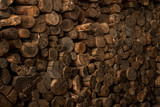 wood seamless background with stumps, tree cuts, logs, ecology background
