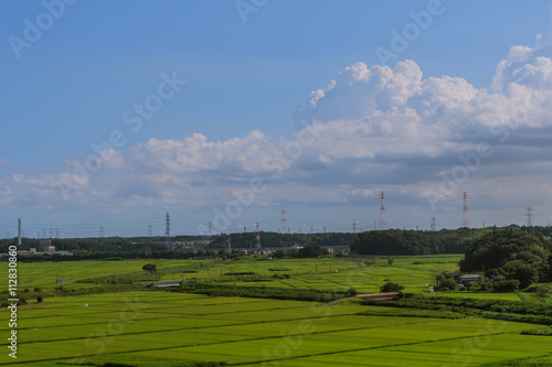 夏の寺崎城跡から見た田園風景