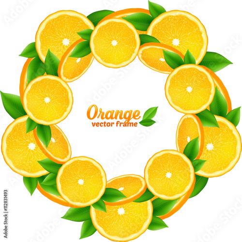 Orange slices with leaves vector round frame