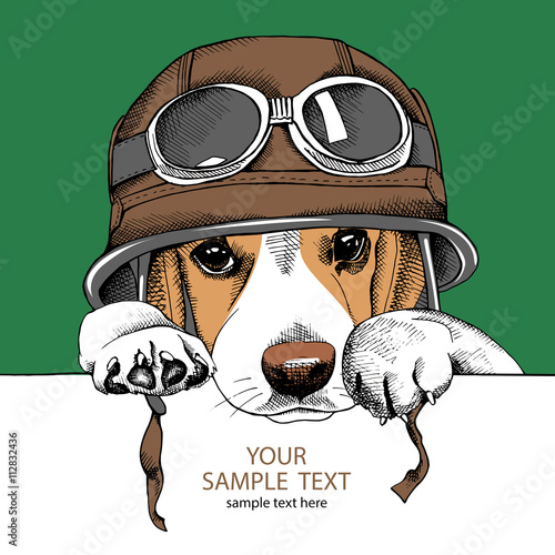 The image Portrait of the dog Basset Hound in the motorcyclist helmet. Vector illustration.